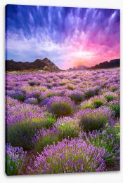 Meadows Stretched Canvas 78721787