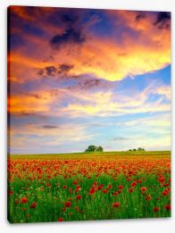Meadows Stretched Canvas 78752993