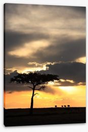 Masai Mara sunset Stretched Canvas 78761078