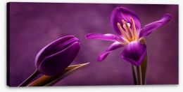Flowers Stretched Canvas 79035921