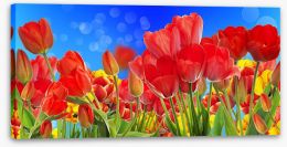 Sunshine tulips Stretched Canvas 79207844