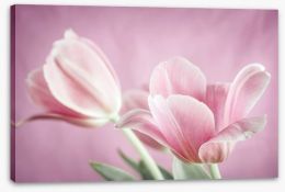 Flowers Stretched Canvas 79358863