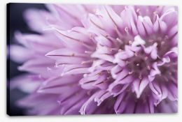 Flowers Stretched Canvas 79359249