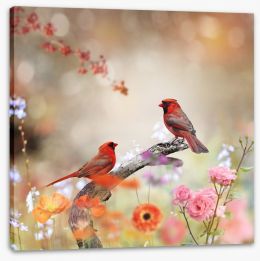 Northern cardinals Stretched Canvas 79373542