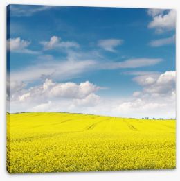 Meadows Stretched Canvas 79738668