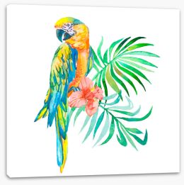 Birds Stretched Canvas 79828929