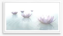 Soft floating lotus Framed Art Print 79997340