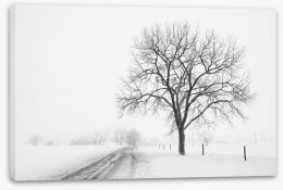 Lone tree in the snow storm Stretched Canvas 80032038