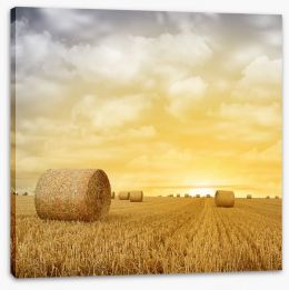 Meadows Stretched Canvas 80109277