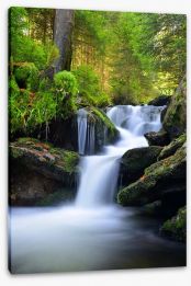 Sumava national park waterfall Stretched Canvas 80233161