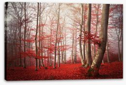 Forests Stretched Canvas 80376104