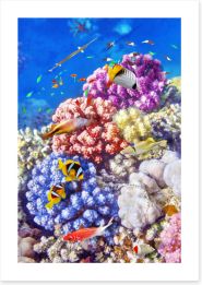 Underwater Art Print 80504523