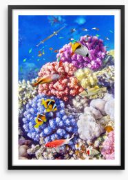 Underwater Framed Art Print 80504523