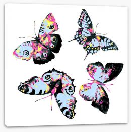 Butterflies Stretched Canvas 80602833