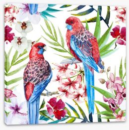 Birds Stretched Canvas 80809478