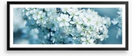Fresh blossom panorama Framed Art Print 81205012