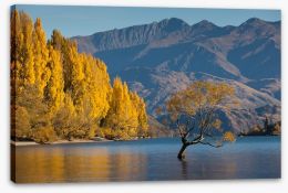 New Zealand Stretched Canvas 81312089