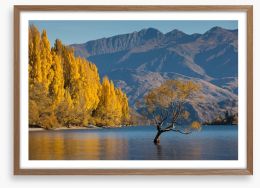 Autumn at Lake Wanaka Framed Art Print 81312089
