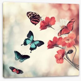 Five butterflies Stretched Canvas 81623637