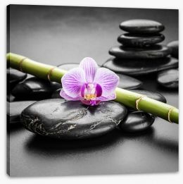 Orchid balance Stretched Canvas 81822496