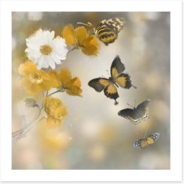 Butterflies Art Print 82062642