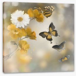 Butterflies Stretched Canvas 82062642