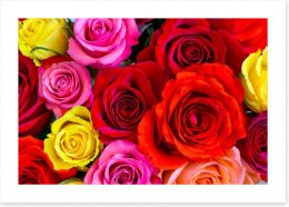 Beautiful bright roses Art Print 82195573