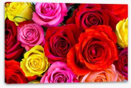 Beautiful bright roses Stretched Canvas 82195573