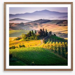 The hills of Val d'Orcia