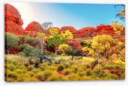 The colours of the Outback Stretched Canvas 82696059