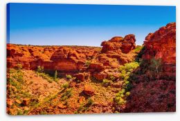 Red earth wilderness Stretched Canvas 82696353