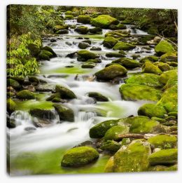 Rivers Stretched Canvas 82885836