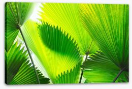 Green palm fronds Stretched Canvas 83096272
