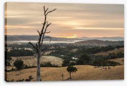 Dawn in the Goulburn River valley Stretched Canvas 83242165