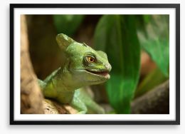 Reptiles / Amphibian Framed Art Print 83250147