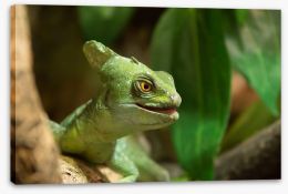 Reptiles / Amphibian Stretched Canvas 83250147