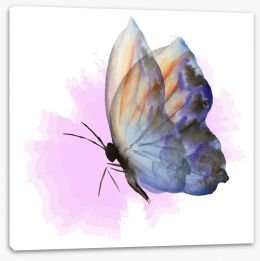 Aquarelle butterfly Stretched Canvas 83403000