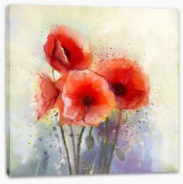 Red poppy splash Stretched Canvas 83957682