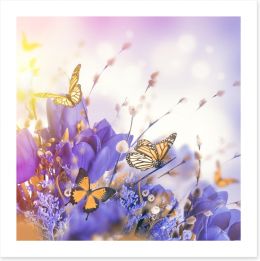 Mimosa butterflies Art Print 84630002