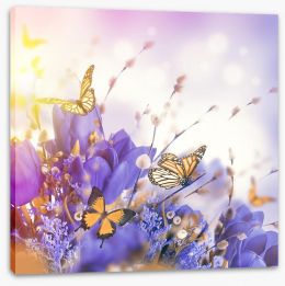 Mimosa butterflies Stretched Canvas 84630002
