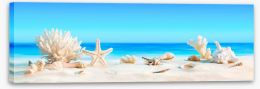 Shells on the beach panorama Stretched Canvas 84676783
