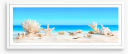 Shells on the beach panorama Framed Art Print 84676783