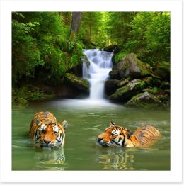 The tigers and the waterfall Art Print 85029735