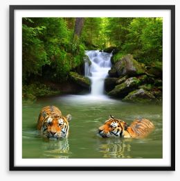 The tigers and the waterfall Framed Art Print 85029735