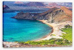 The Galapagos coast Stretched Canvas 85293744