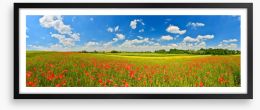 Poppy field panorama Framed Art Print 85477854