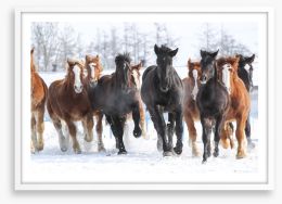 Winter gallop Framed Art Print 85486192