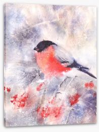 Bullfinch in the frost Stretched Canvas 86584703