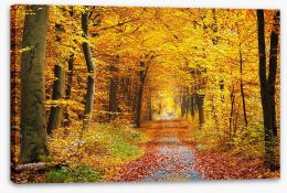 Golden brown tree tunnel Stretched Canvas 86844242