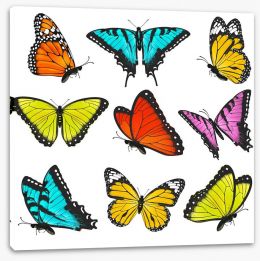 Butterflies Stretched Canvas 87064785